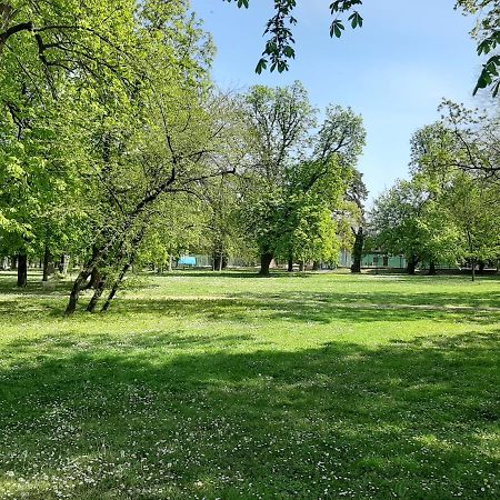 Apartman Kod Kestena Osijek Bagian luar foto